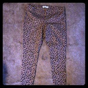 Leopard dress pull on pant